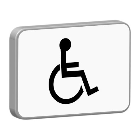 M4n-500x300-Classe 1-Aménagé pour handicapés physiques