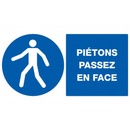 PIETONS PASSEZ EN FACE 330x200mm