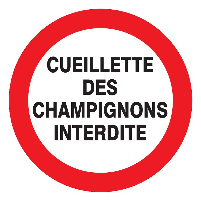 CUEILLETTE DES CHAMPIGNONS INTERDITE D.300mm