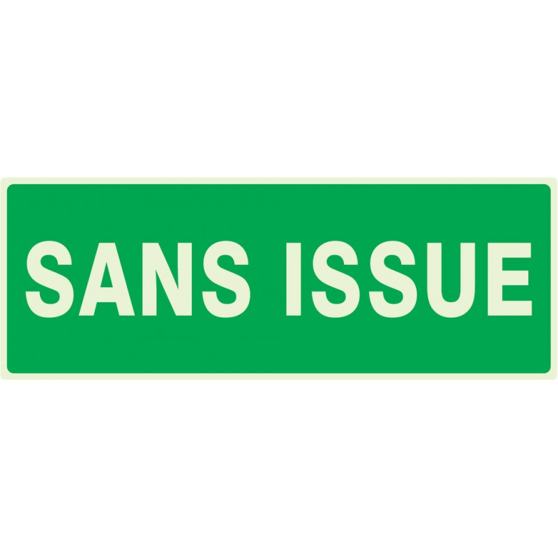 SANS ISSUE (SECOURS) LUMINESCENT 330X200mm