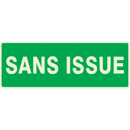 SANS ISSUE (SECOURS) LUMINESCENT 330X200mm