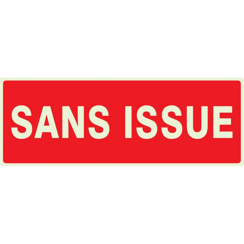 SANS ISSUE (INCENDIE) LUMINESCENT 330x75mm