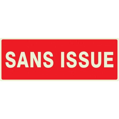 SANS ISSUE (INCENDIE) LUMINESCENT 330x120mm