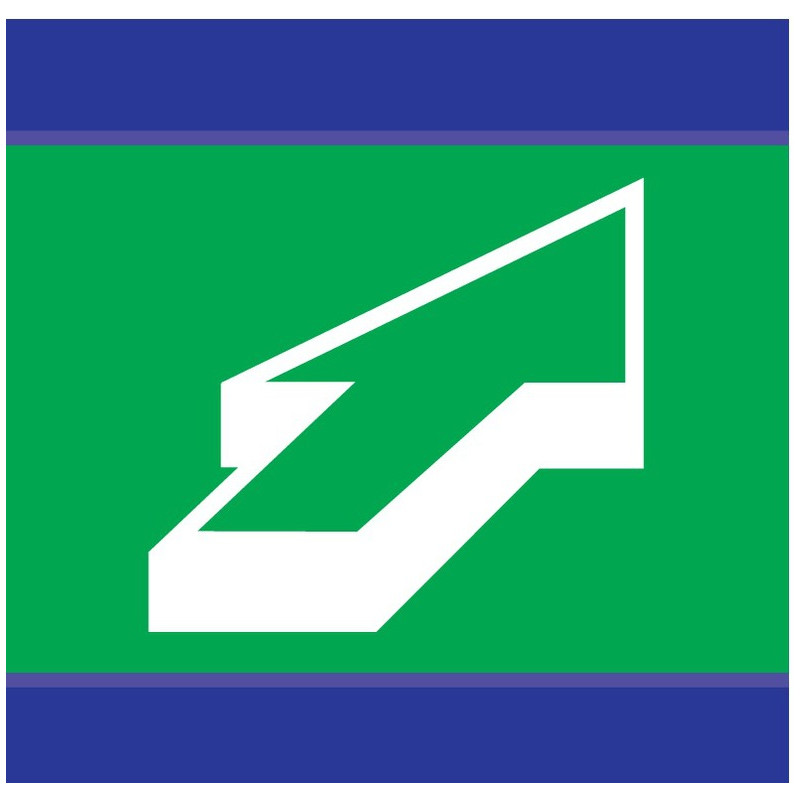 EVACUATION D-SIGN 100x100mm