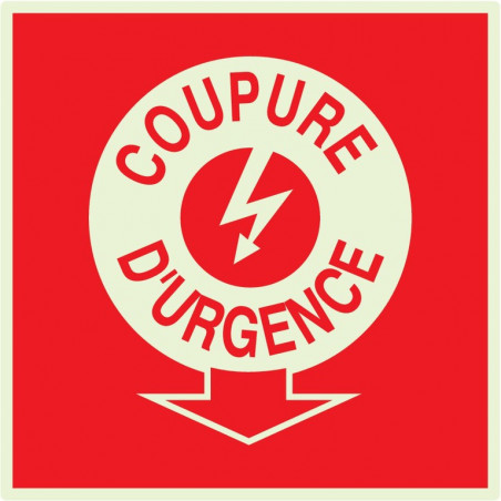 COUPURE ELECTRICITE D'URGENCE LUMINESCENT 200x200mm