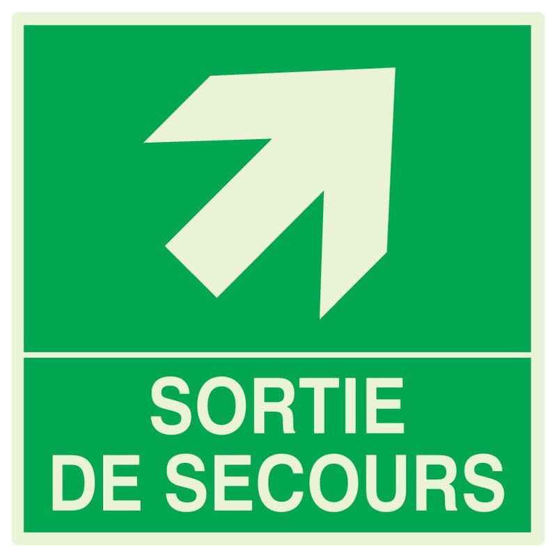 SORTIE DE SECOURS FLECHE EN HAUT A DROITE LUM.200x200mm