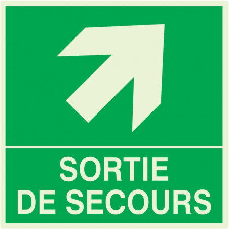 SORTIE DE SECOURS FLECHE EN HAUT A DROITE LUM.200x200mm