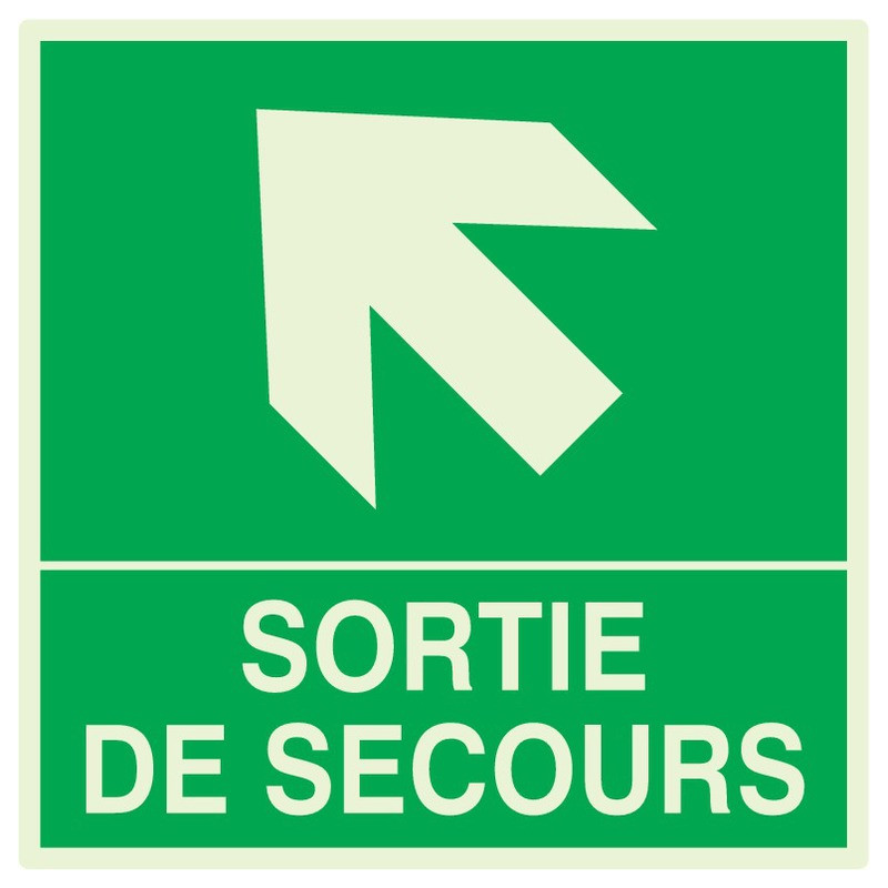 SORTIE DE SECOURS FLECHE EN HAUT A GAUCHE LUM.200x200mm