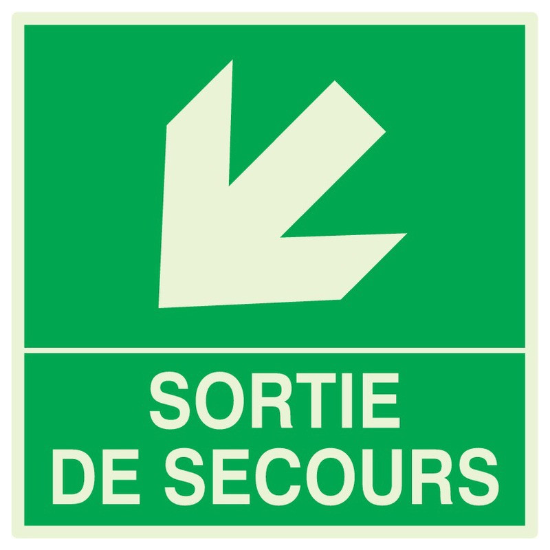 SORTIE DE SECOURS FLECHE EN BAS A GAUCHE LUM. 200x200mm