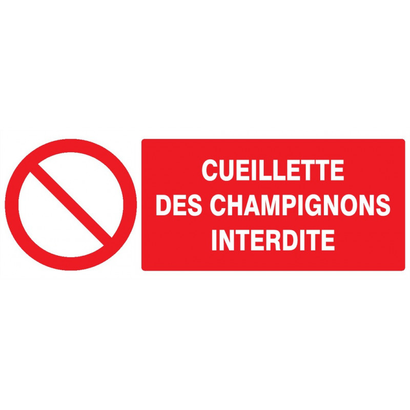 CUEILLETTE DES CHAMPIGNONS INTERDITE 200x52mm