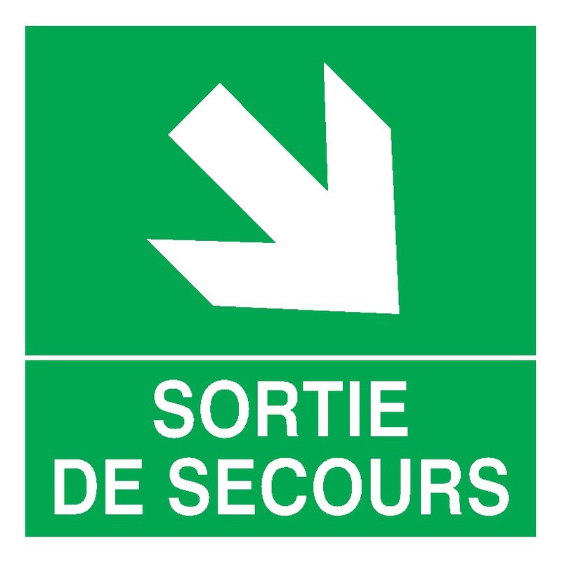 SORTIE DE SECOURS FLECHE EN BAS A DROITE 200x200mm