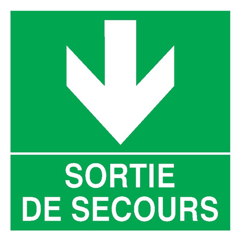 SORTIE DE SECOURS FLECHE EN BAS 200x200mm