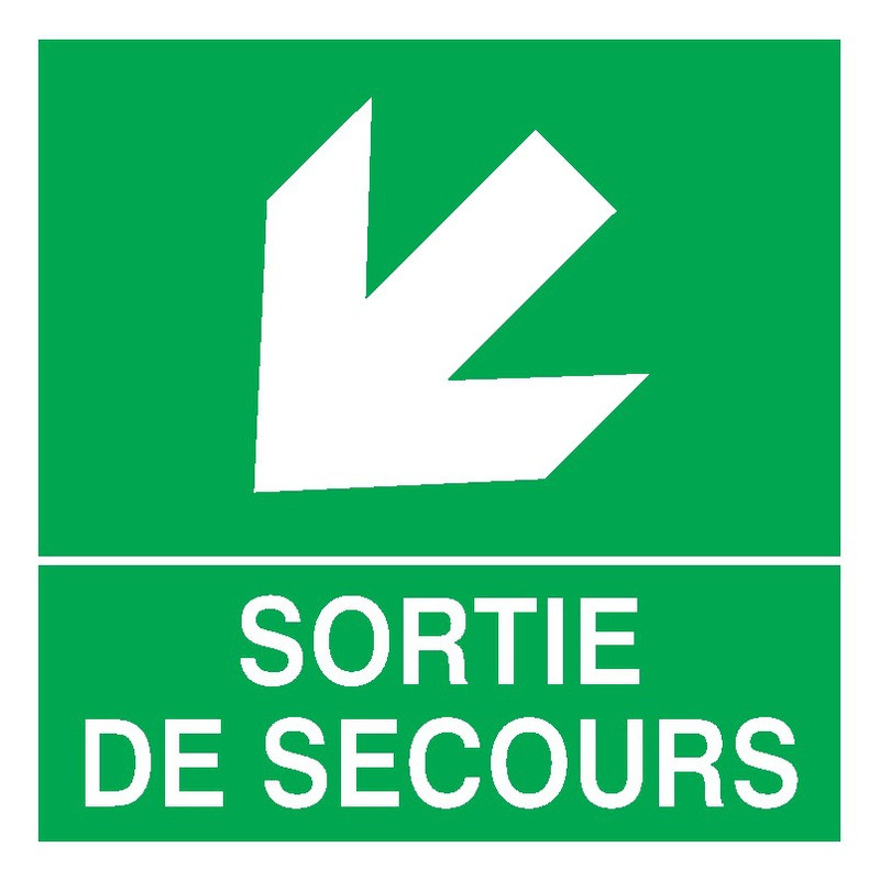 SORTIE DE SECOURS FLECHE EN BAS A GAUCHE 200x200mm